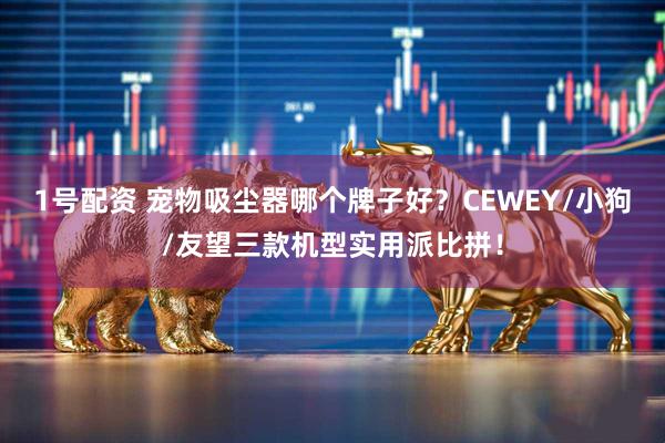 1号配资 宠物吸尘器哪个牌子好？CEWEY/小狗/友望三款机型实用派比拼！