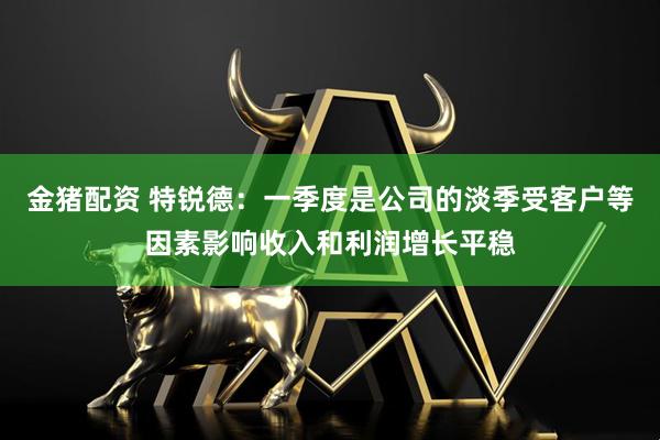 金猪配资 特锐德：一季度是公司的淡季受客户等因素影响收入和利润增长平稳
