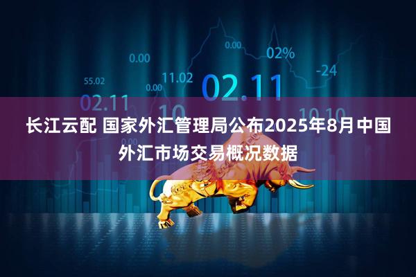 长江云配 国家外汇管理局公布2025年8月中国外汇市场交易概况数据
