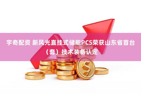 宇奇配资 新风光直挂式储能PCS荣获山东省首台（套）技术装备认定
